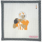 PREORDER Peyton Manning (TN)