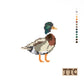 PREORDER Mallard Duck