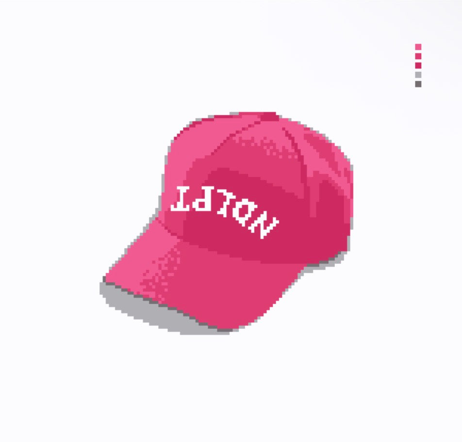 PREORDER Upside Down NDLPT Hat